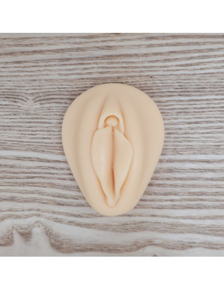 Vulve en silicone
