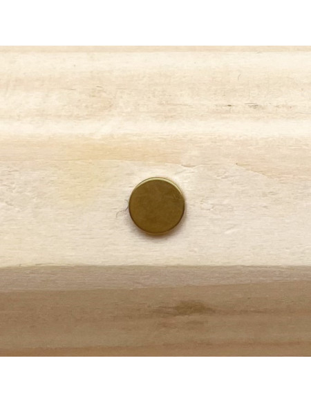 Microdermal titane plaque dorée